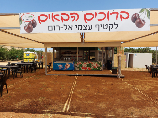 קטיף עצמי